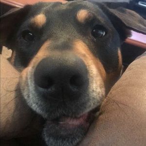 Meet your Posher, Karina